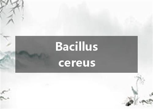 Bacillus cereus是什么意思