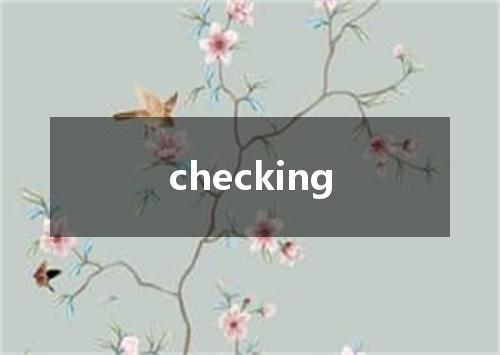 checking是什么意思