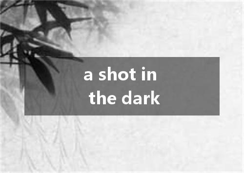 a shot in the dark是什么意思