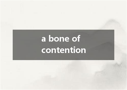 a bone of contention是什么意思