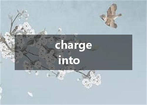 charge into是什么意思