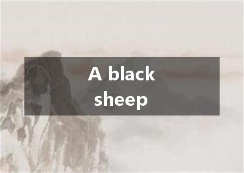 A black sheep是什么意思