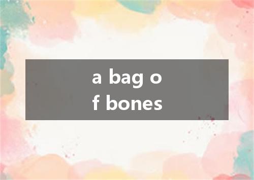 a bag of bones是什么意思