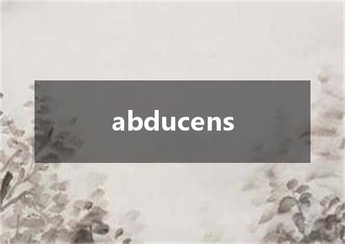 abducens是什么意思