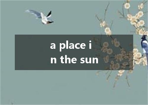 a place in the sun是什么意思