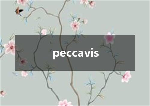 peccavis是什么意思