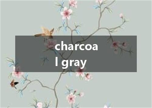 charcoal gray是什么意思