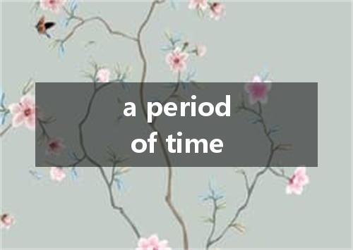 a period of time是什么意思