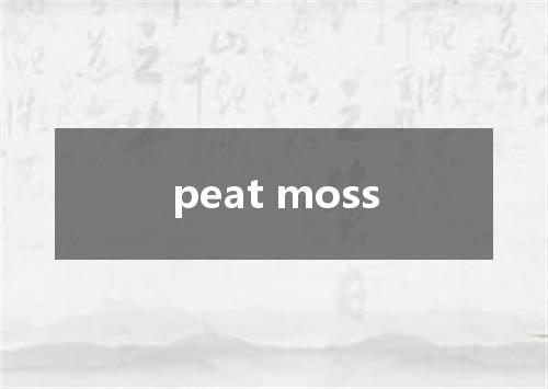peat moss是什么意思