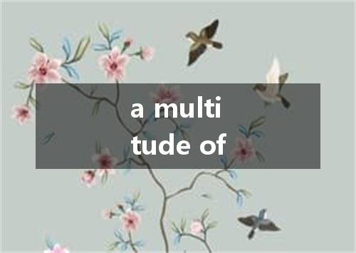 a multitude of是什么意思