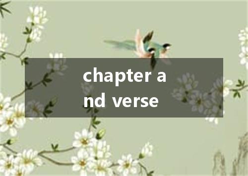 chapter and verse是什么意思