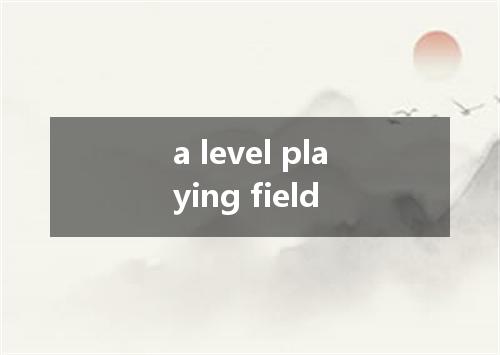a level playing field是什么意思