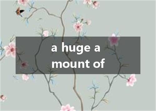 a huge amount of是什么意思