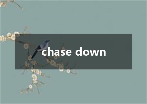 chase down是什么意思