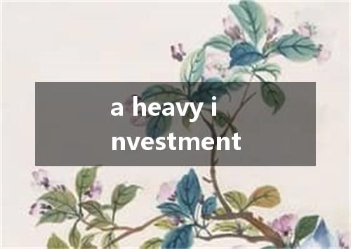 a heavy investment是什么意思