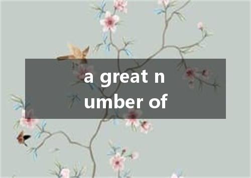 a great number of是什么意思