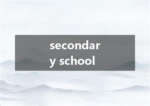 secondary school是什么意思
