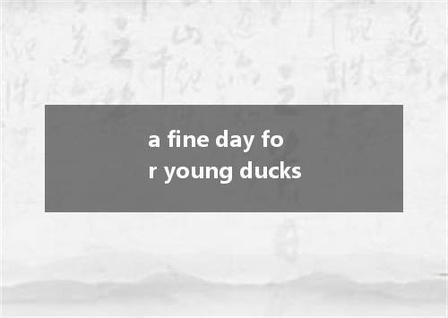 a fine day for young ducks是什么意思