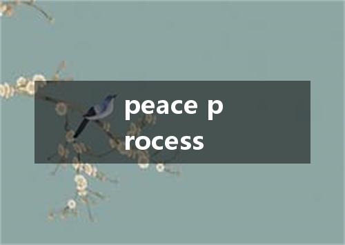 peace process是什么意思