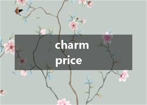 charm price是什么意思
