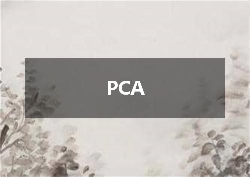 PCA是什么意思