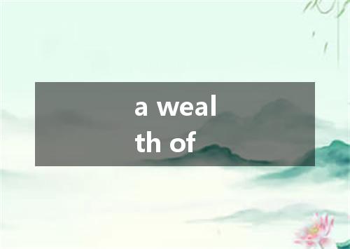 a wealth of是什么意思
