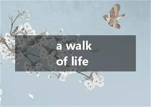 a walk of life是什么意思