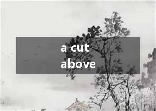a cut above是什么意思