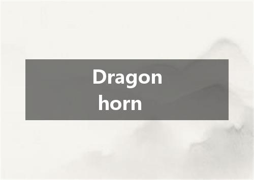 Dragon horn是什么意思