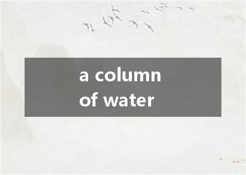 a column of water是什么意思