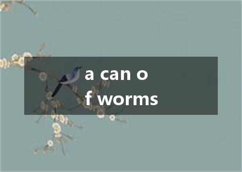 a can of worms是什么意思