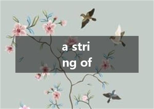 a string of是什么意思