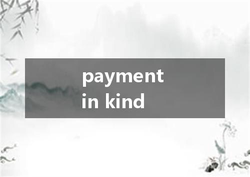 payment in kind是什么意思