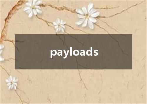 payloads是什么意思