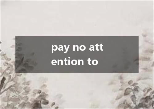 pay no attention to是什么意思