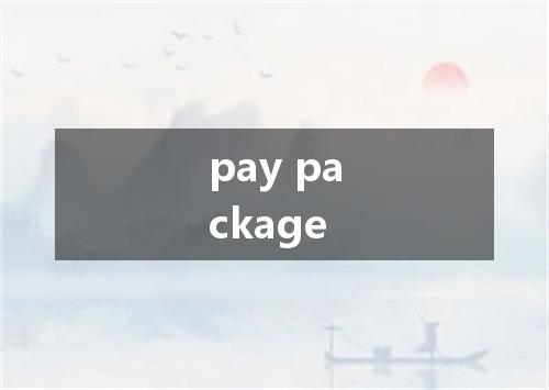 pay package是什么意思