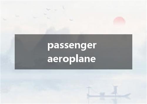 passenger aeroplane是什么意思