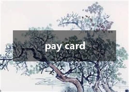 pay card是什么意思