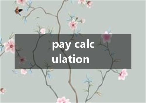 pay calculation是什么意思