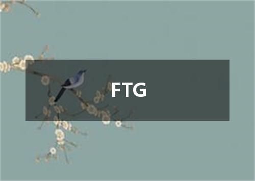 FTG是什么意思