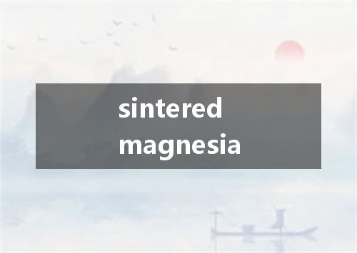 sintered magnesia是什么意思