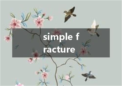 simple fracture是什么意思