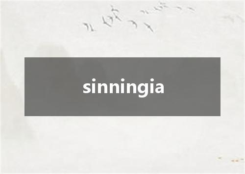sinningia是什么意思