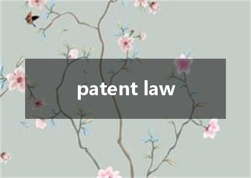patent law是什么意思