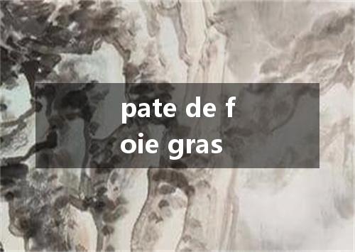 pate de foie gras是什么意思