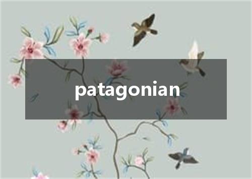 patagonian是什么意思