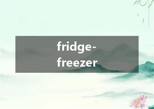 fridge-freezer是什么意思