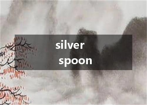 silver spoon是什么意思