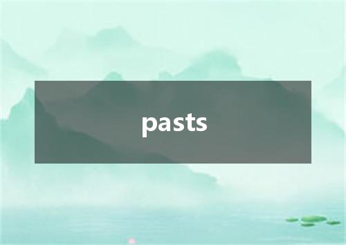 pasts是什么意思