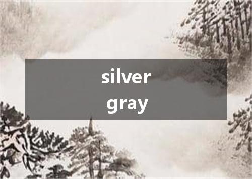 silver gray是什么意思